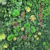 دیوار سبز مصنوعی برای بچه ها